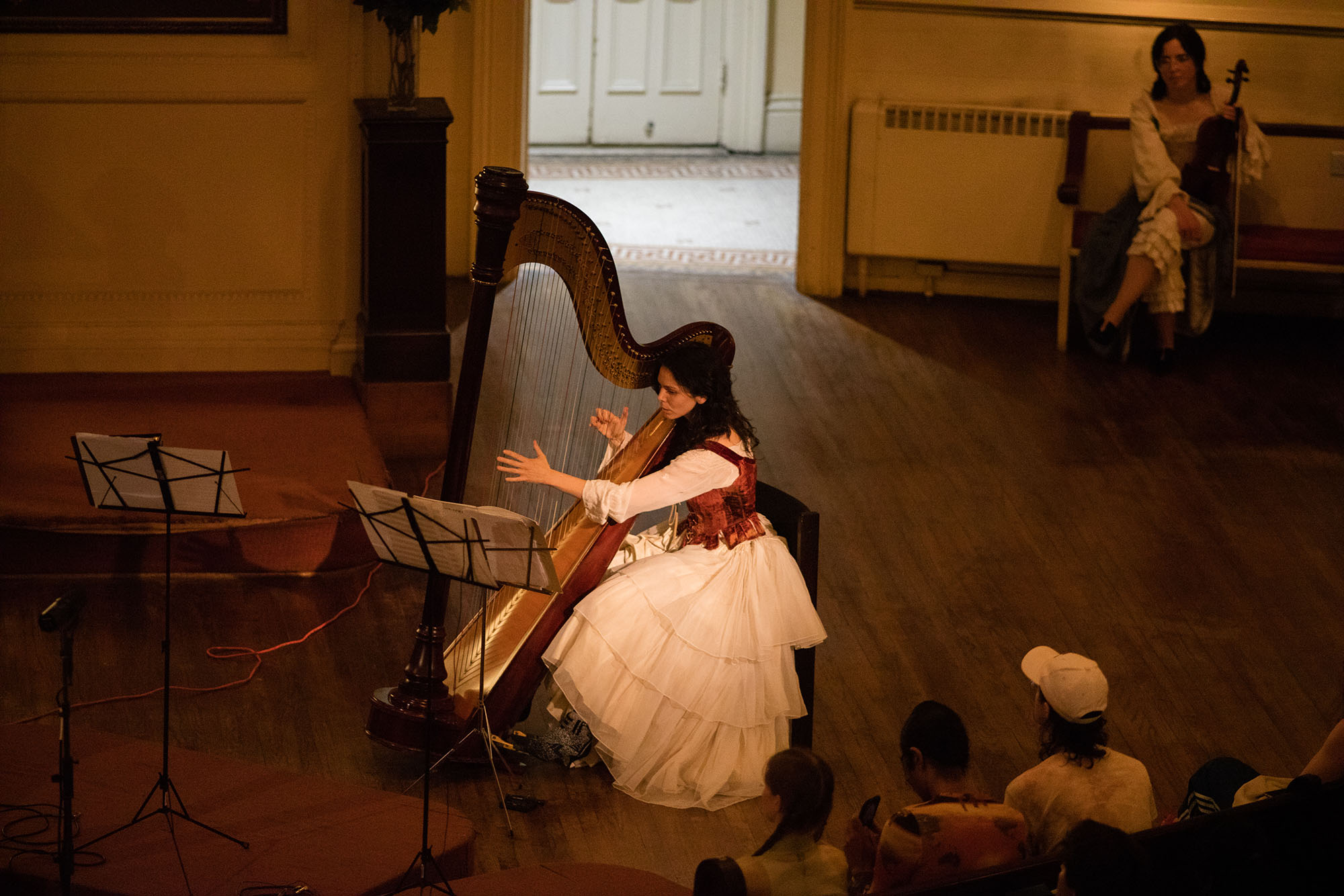 Brooklyn church harp concert - Lafayette Presbyterian Church performance by Esther Sibiude